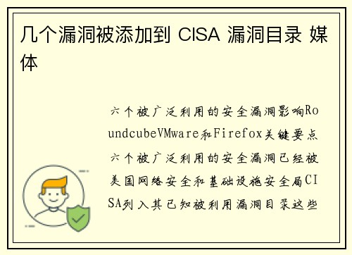 几个漏洞被添加到 CISA 漏洞目录 媒体