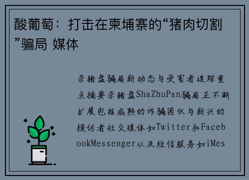 酸葡萄：打击在柬埔寨的“猪肉切割”骗局 媒体
