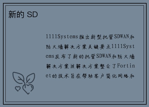 新的 SD