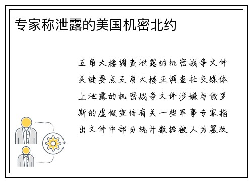 专家称泄露的美国机密北约